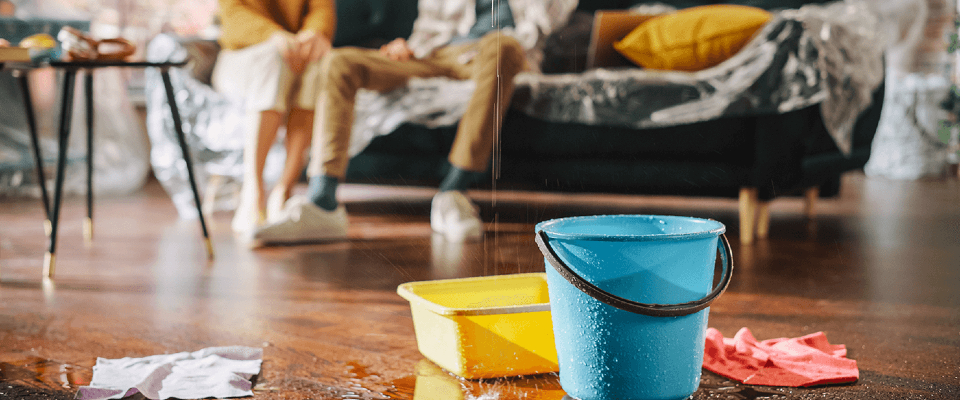 Two buckets collecting water dripping from the ceiling, cleaning cloths, and in the background a couple sitting on a sofa in the living room.