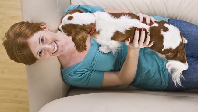 Dog and woman playing on a sofa